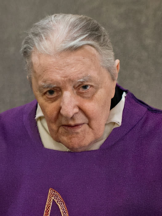 Ritratto del Servo di Dio don Silvio Galli